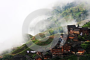 rice terraces