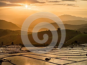 Rice Terraces