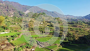 Rice terraces in the arid countryside