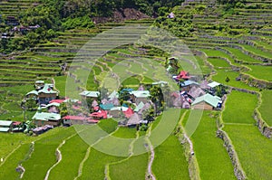 Rice terraces in Banaue the Philippines