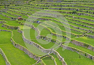 Rice terraces in Banaue the Philippines
