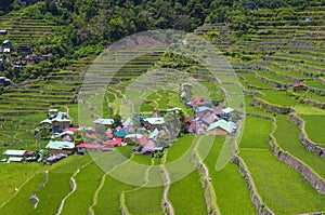 Rice terraces in Banaue the Philippines