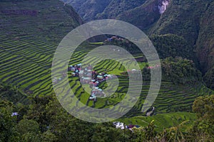 Rice terraces in Banaue the Philippines