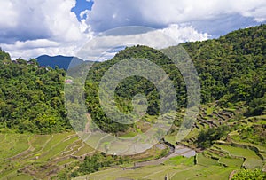 Rice terraces in Banaue the Philippines