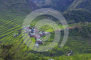 Rice terraces in Banaue the Philippines