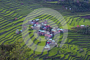 Rice terraces in Banaue the Philippines