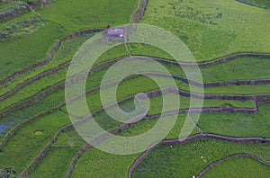 Rice terraces in Banaue the Philippines