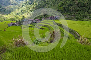 Rice terraces in Banaue the Philippines