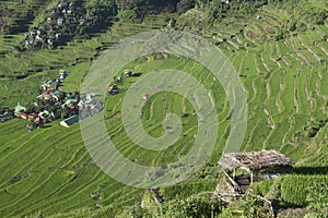 Rice terraces in Banaue the Philippines