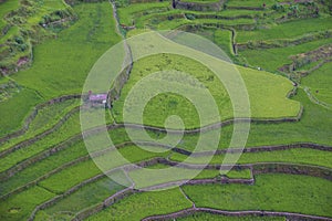 Rice terraces in Banaue the Philippines