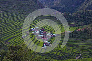 Rice terraces in Banaue the Philippines