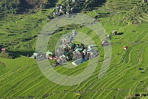 Rice terraces in Banaue the Philippines