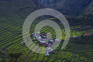 Rice terraces in Banaue the Philippines