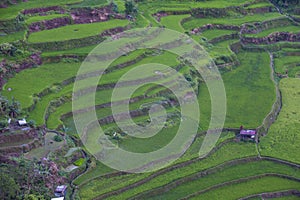 Rice terraces in Banaue the Philippines