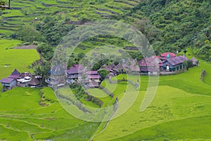 Rice terraces in Banaue the Philippines