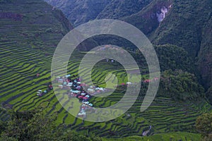 Rice terraces in Banaue the Philippines