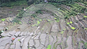 Rice terraces of Batad, Ifugao province