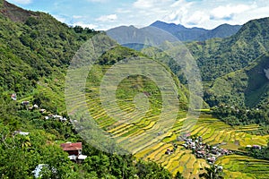 Rice terraces in Batad in Ifugao province, Luzon