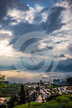 Rice terraces and cloud