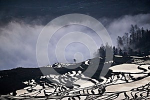 Rice terraces and clouds