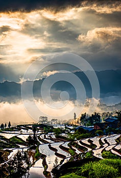 Rice terraces and colorful clouds