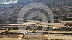 Rice terraces descend in ledges along the hillside.