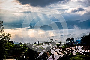 Rice terraces and diffraction light