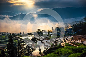Rice terraces and diffraction light
