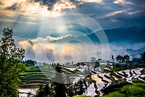 Rice terraces and img