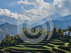 Rice terraces and a farmhouse amid the hills and the Annapurna massif with snow-capped peaks. Circular route around Annapurna