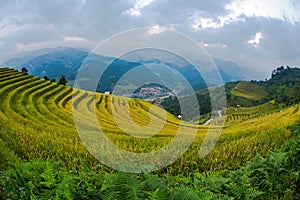 Rice terraces field landscapes beautiful