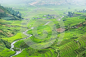 Rice terraces field in Rainning season