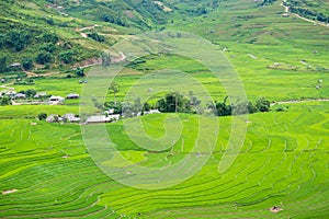 Rice terraces field in Rainning season at Tule