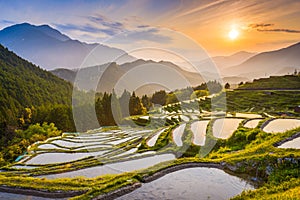 Rice Terraces in Japan photo
