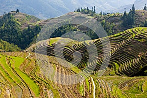 Rice terraces in Longsheng, China