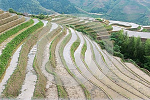 Rice terraces at Longsheng, China photo