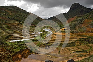 Rice terraces Madagascar