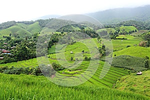 Rice terraces in Mae Chaem