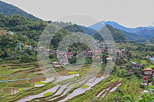 Rice terraces near to Banaue town in Phillipines