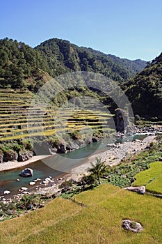 Rice terraces river valley north luzon philippines photo