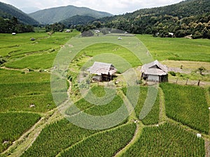 Rice Terraces of the Philippine Cordilleras photo