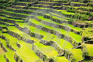 Rice terraces in the Philippines. Rice cultivation in the North