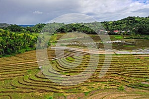 Rice terraces in the Philippines. Rice cultivation in the North of the Philippines, Batad, Banaue