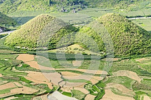 Rice Terraces in Quan Ba, Vietnam