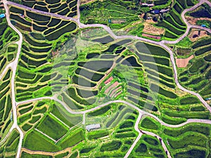 Rice terraces in rural Nagano Prefecture