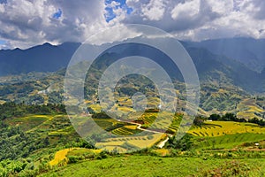 Rice terraces in Sapa, Vietnam