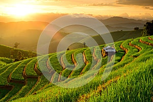 Rice Terraces with sunset backdrop at Ban Papongpieng Chiangmai