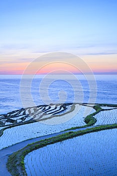 Rice terraces at twilight