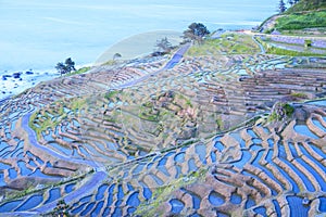 Rice terraces at twilight