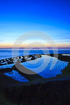 Rice terraces at twilight